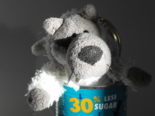 10399909_107912263258_3827004_n